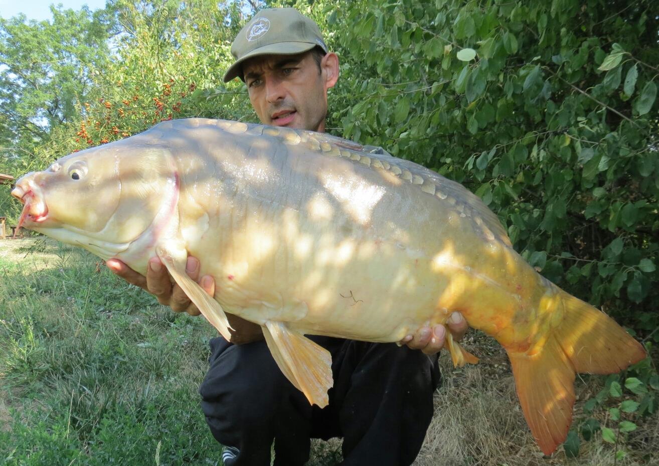 The best pictures of 2013 - 11,3